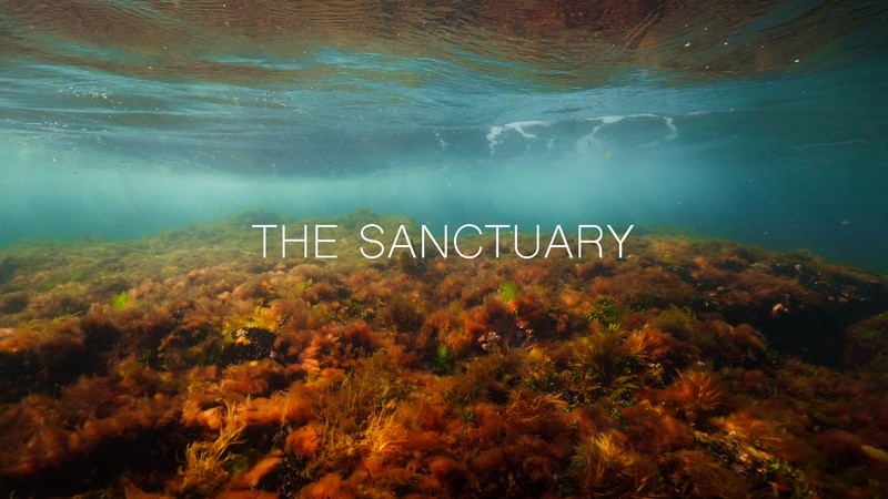 The Sanctuary 
